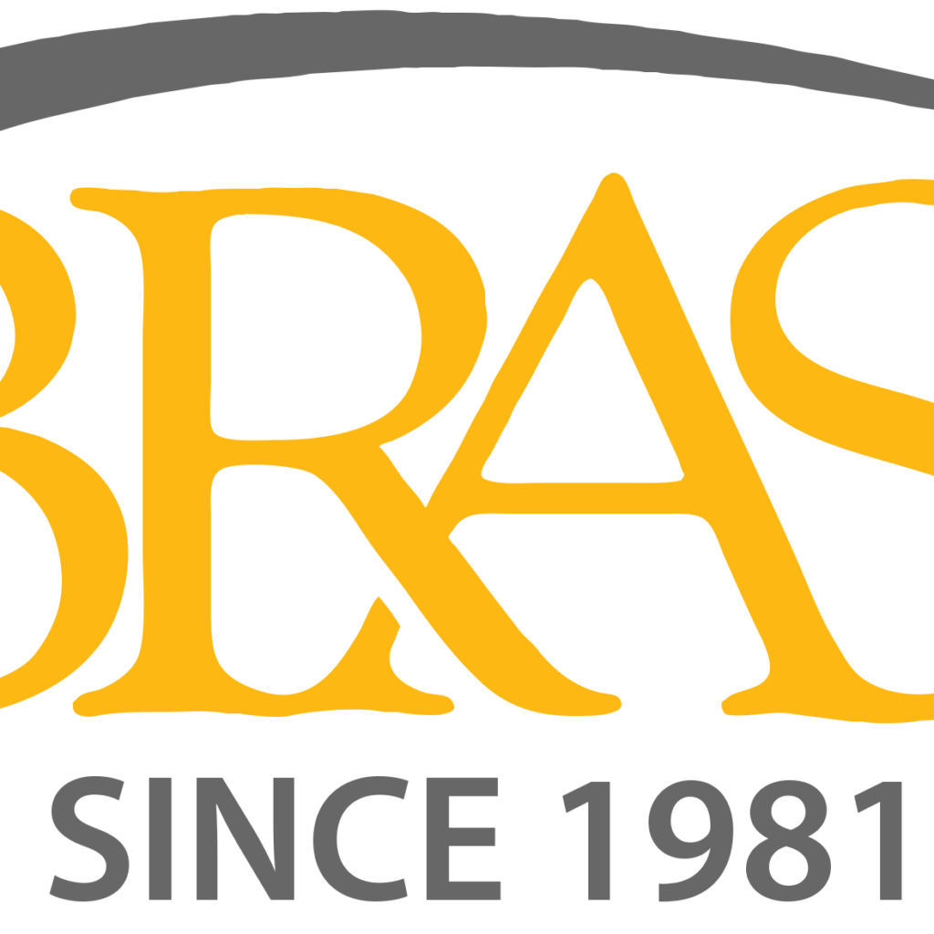 logo brasi since 1981